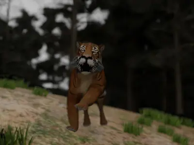 semi-realistic tiger 3d model Low-poly 3D model