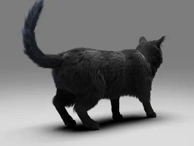 Fur Cat Black NO Rigged Low-poly 3D model