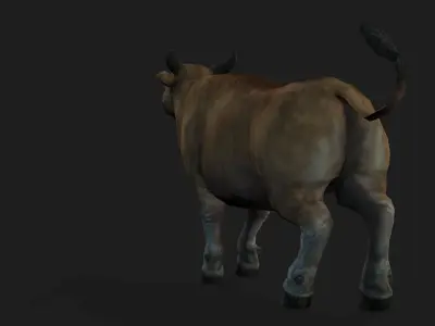 Realistic Cow Bull with Rigged body and Animation Low-poly 3D model