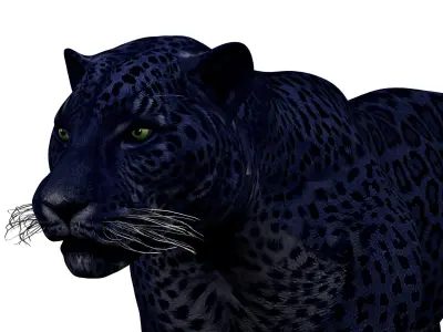 Black Panther Rigged 3D model