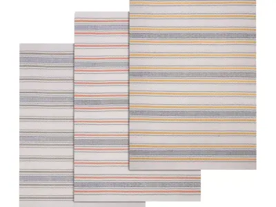 Rug Set 244 3D model