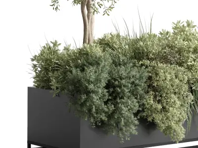 Box Plants on Stand collection of houseplants indoor metal vase 3D model