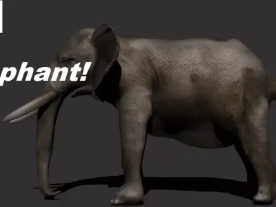 Elephant with long tusks 3D model