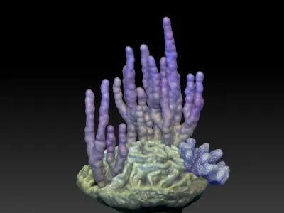 Angelfish Regal  Pygoplites diacanthus 3D print model