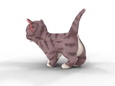 Fur Cute Cat kitten Cartoon  Low-poly 3D model
