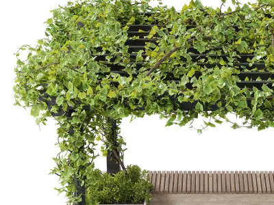 Classic Landscape furniture with roof garden and ivy on patio 24 Low-poly 3D model