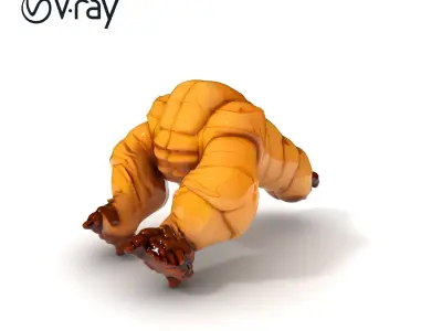 Ginger Root Model Pack with PBR Textures Low-poly 3D model