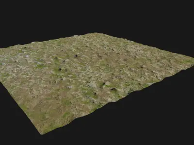 dry ground grassy Texture