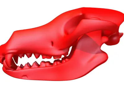 Printable Dog Skull 3D model