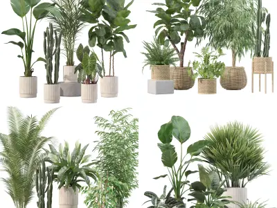 20 Photorealistic Flowers for Interiors - set 201 205 207 219 3D Model Collection