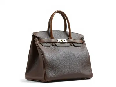 Luxury Handbag D Model Pack Low-poly 3D model