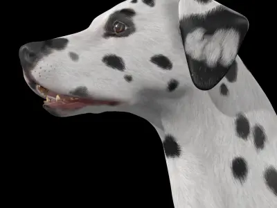 Dalmatian Dog  Low-poly 3D model