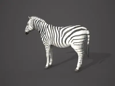 Animal Zebra 3D model