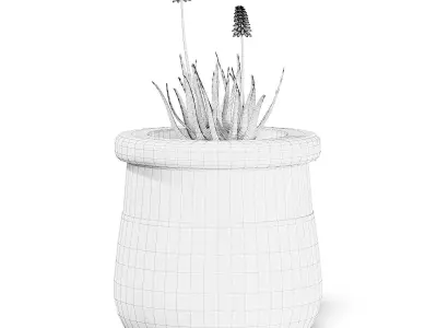 Flowers 3D Model in Large Modern Pot 3D model