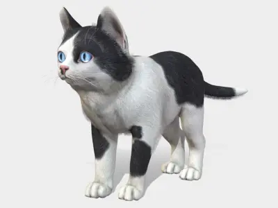 Kitten - Simple Low-poly 3D model
