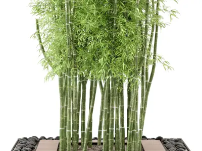 Outdoor Plants Bamboo Set  Garden Set 21  3D model