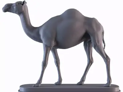 Camel statue of 3D print model