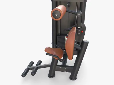 Lower back machine 3D model