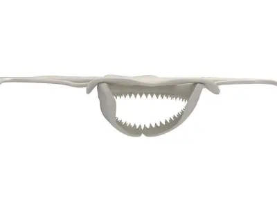 Hammerhead Shark Skull 3D model