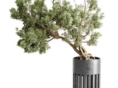  Bonsai Tree in a stand metal pot - Indoor Plant 709 3D model