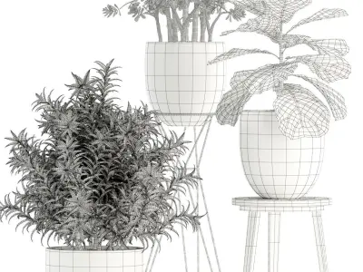 Plants collection 112 3D model