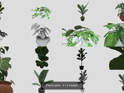 Plants pack - 4 3D Model Collection