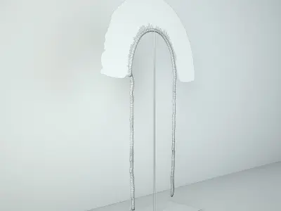 Juruna Tribe Feather Headdress 3D model