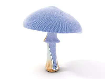 Vibrant Psychedelic Mushroom model pack Low-poly 3D model