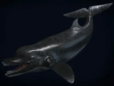 Acrophyseter whale Low-poly 3D model
