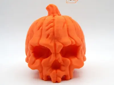 Pumpkin Skull 3D print model