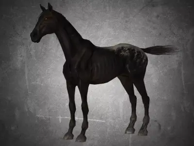 Horse - Famine No Gear 3D model