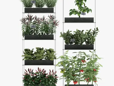 Vertical garden for the kitchen 70 3D model