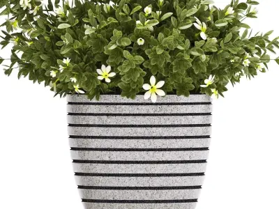 plants set 68 3D model