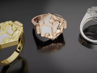 Carrera y carrera Ring - HEXAGON 3D print model