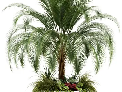 Plants collection 104 3D model