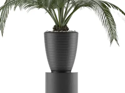 House Plant 29 3D model