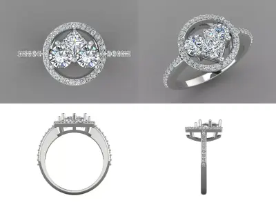 Ring bi160 3D print model