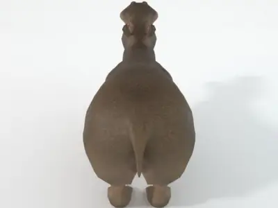 Hippopotamus Low-poly 3D model purchase