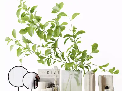 Decorative Set 241 Low-poly 3D model