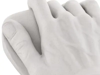 The Plaster Model of Davids Hand 3D model