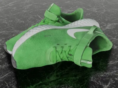 NIKE FLY EASE 3D SHOES - GREEN Low-poly 3D model