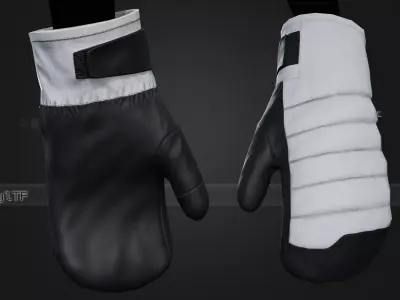 White And Black Snowboard Gloves Low-poly 3D model