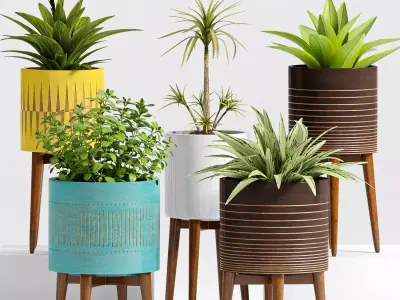 Decorative plant set-15 3D model