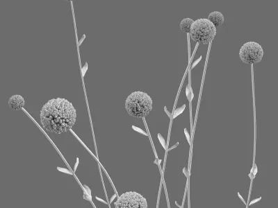 Decor flower Craspedia and candles Set 39 3D model