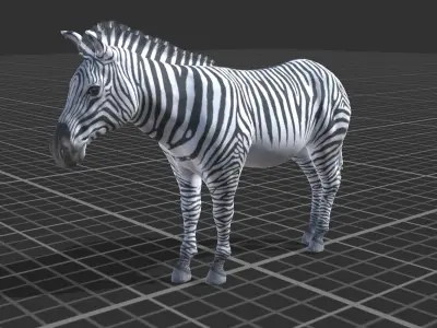 African Zebra Low-poly 3D model