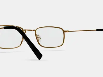 Braswell Eyeglasses in Heritage Bronze 3D model