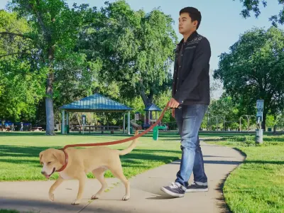 Walking with Mate 3D model