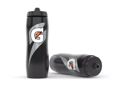 Water Bottle 3D model