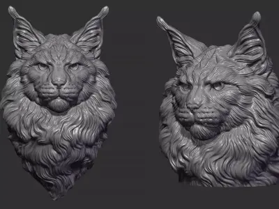 Maine Coon head 3D print model