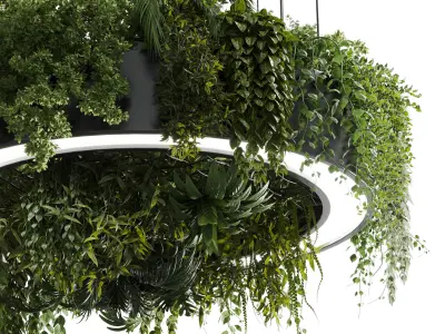 circle pot light pendant - plant light hanging 13 Low-poly 3D model